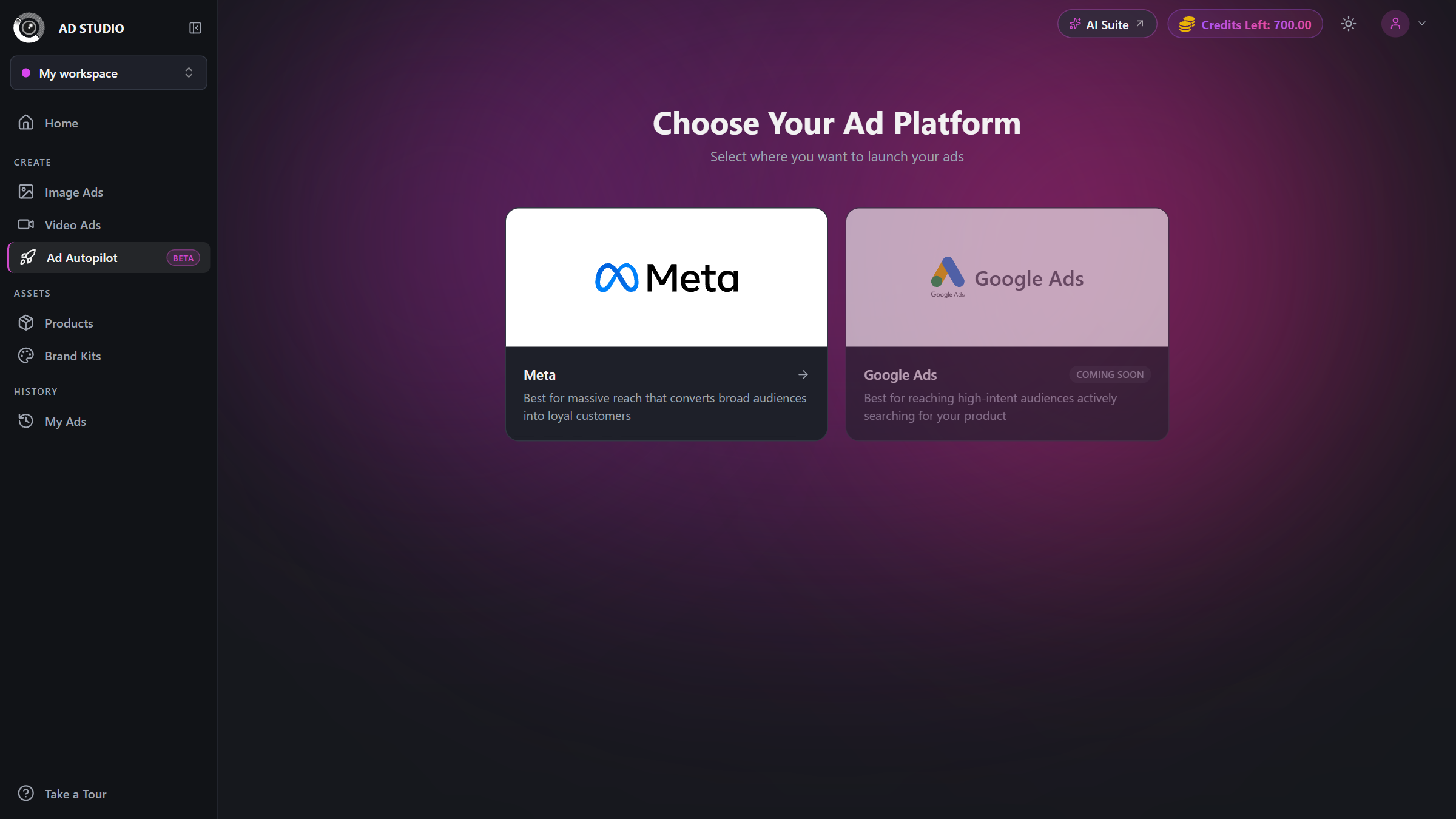 Choose Your Ad Platform screen with a selectable Meta tile and a greyed-out Google Ads tile labelled Coming soon