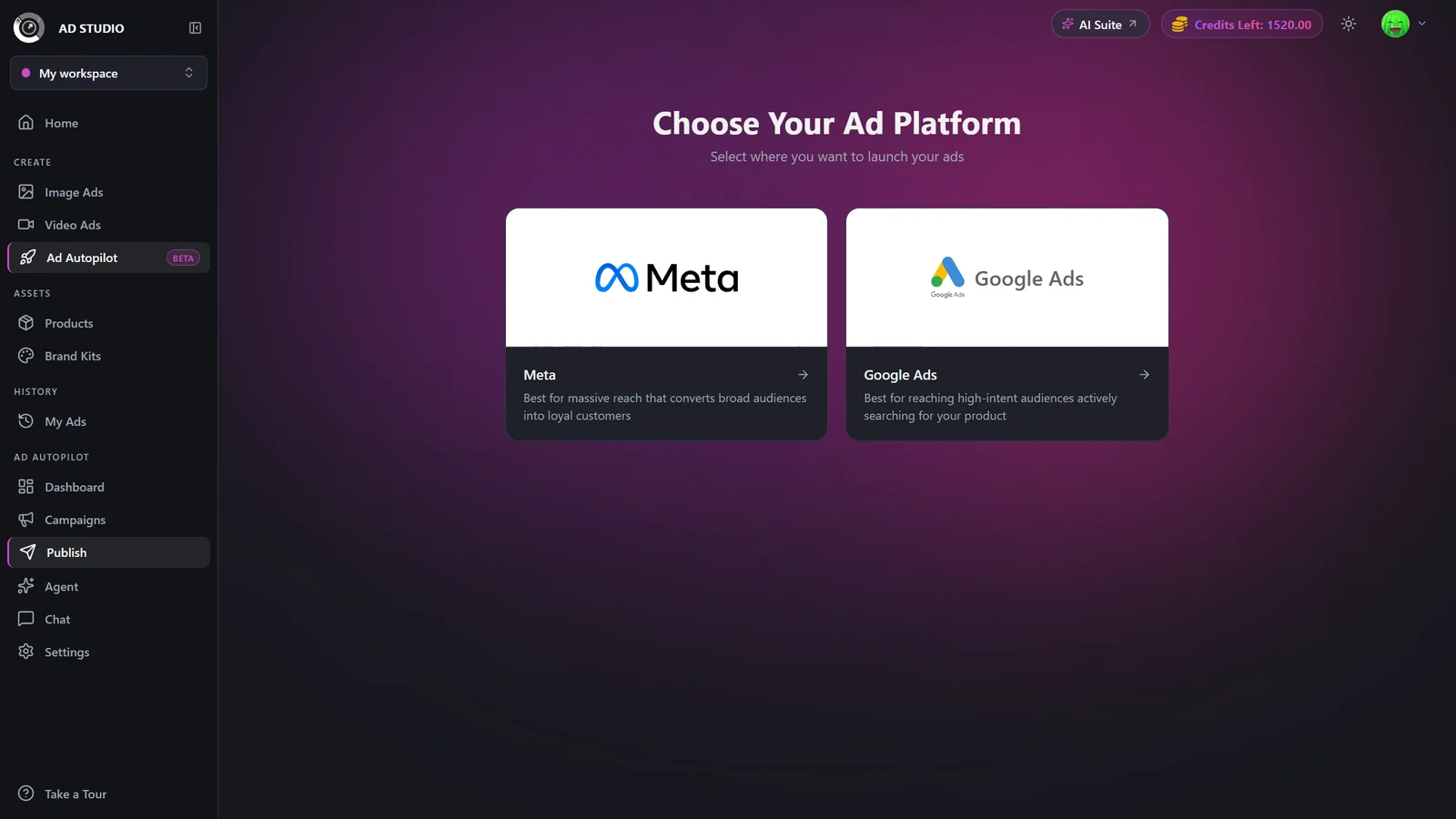 Publish wizard steps: Website, Business, Creatives, Budget, Autonomy, and Review