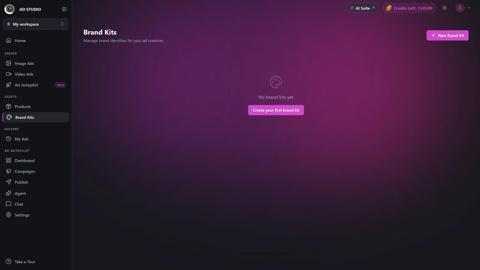 Brand Kits page in the Assets section with a New Brand Kit button