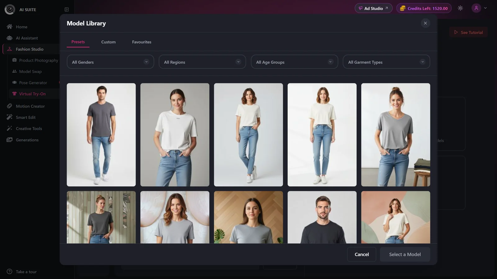 Model Library panel with Presets / Custom / Favourites tabs and filters