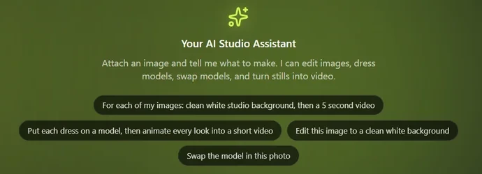 The AI assistant's suggested requests, including a clean studio background then a five-second video for each image